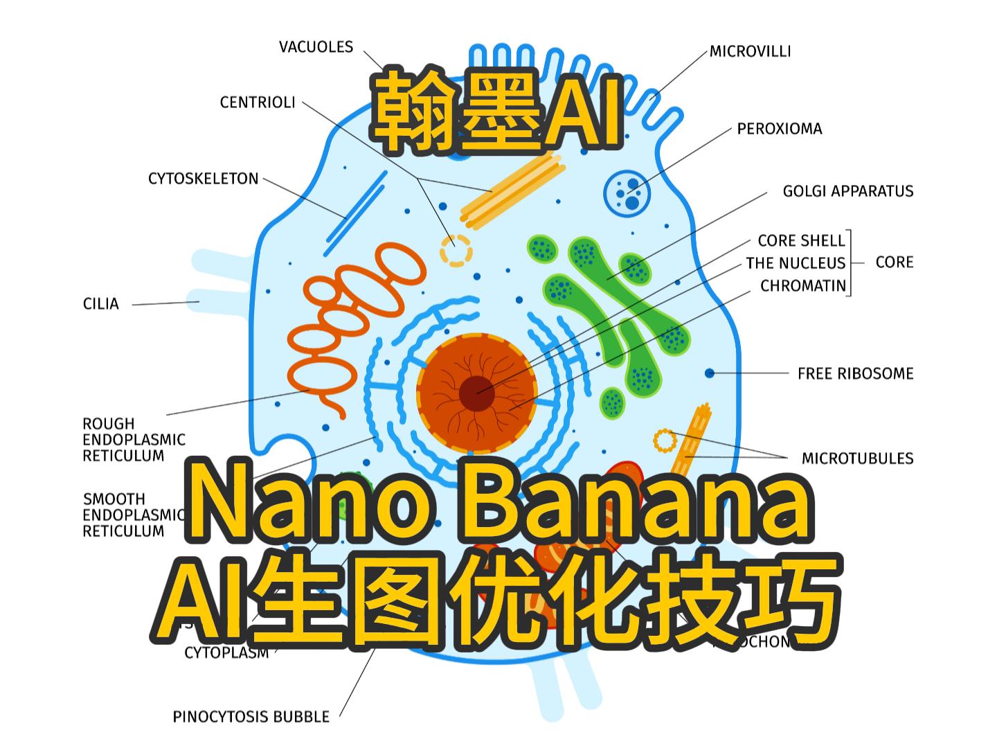 Nano Banana图片转矢量图